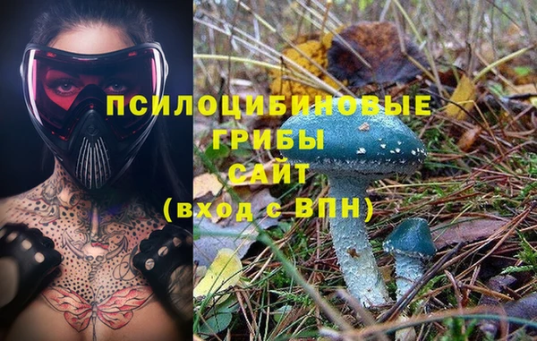 спайс Вяземский