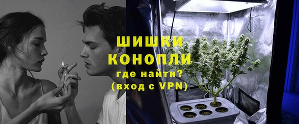 спайс Вяземский